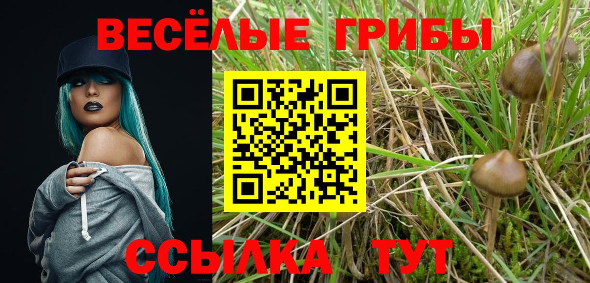 Псилоцибиновые грибы Psilocybine cubensis  Вход с VPN  Галлюциногенные грибы GOLDEN TEACHER  Курганинск 